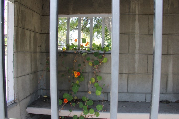 2016-06-02 Oakland-2